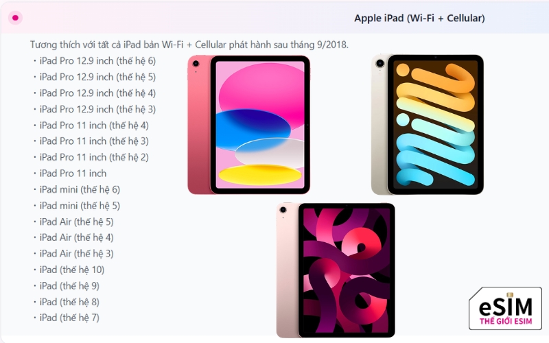 Danh sách iPad từ 2018 hỗ trợ quét mã QR eSIM du lịch nhận data tức thì.